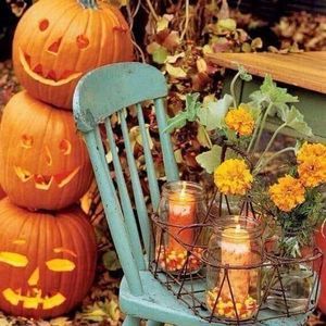 Meet your Posher, Sandra lynn